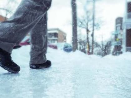 Природно-очаговые заболевания: что нужно знать и как себя обезопасить