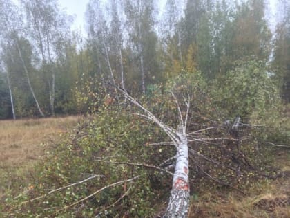 13 октября 2019 года в 11:30 состоится встреча в с. Головщино