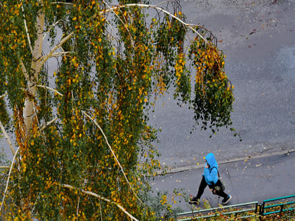 Сегодня в Липецке: оркестр открывает сезон, горожане скупают ноутбуки и кому дадут досрочную пенсию
