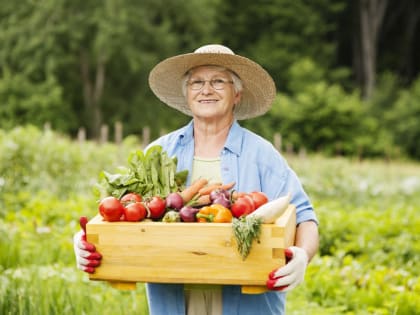 Более 11 тысяч липчан получают повышенную пенсию за работу в сельском хозяйстве
