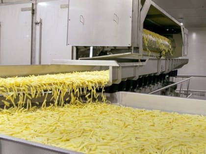 Липецкий производитель картофеля фри планирует вдвое увеличить производственные мощности