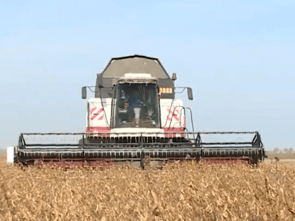 Больше двух миллионов тонн зерна в Липецкой области собрали аграрии с 60% площади