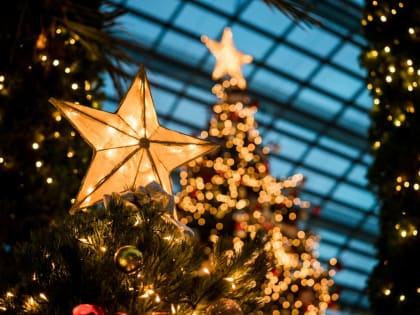 В Липецке открылась резиденция Деда Мороза