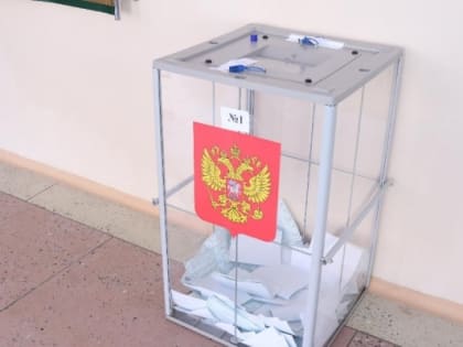 В Липецкой области поставили под сомнение эффективность дистанционного электронного голосования