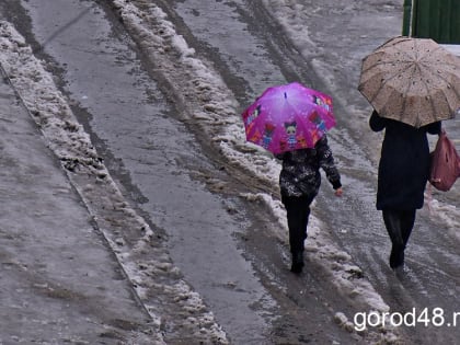 Потепление продолжается: завтра в Липецкой области до +8