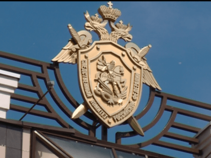 Жительница Краснинского района стала фигурантом уголовного дела об убийстве сожителя