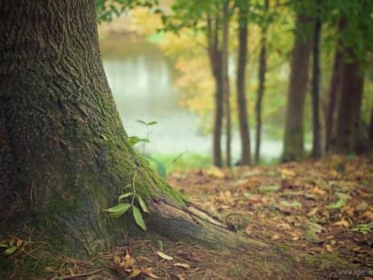 В воскресенье будет тепло