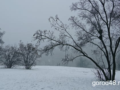 Вместо крещенских морозов – крещенская оттепель: в Липецкой области до +4