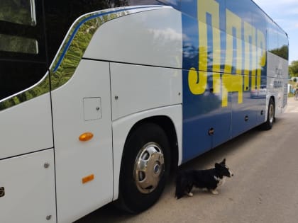 Автобус помощи Владимира Жириновского вновь работает в Липецкой области