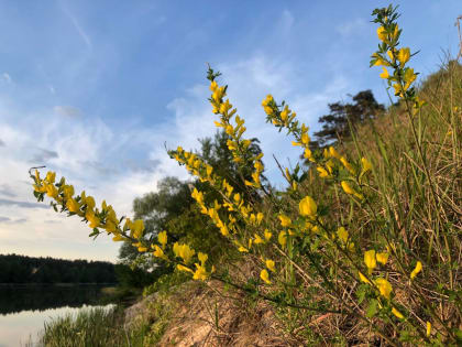 Аномальная температура: как это влияет на нас