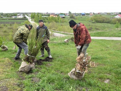 Измалковские единороссы высадили «Сад Памяти» и устроили велопробег