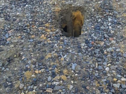 Житель Липецка угодил по пояс в яму, когда вел ребенка в детский сад