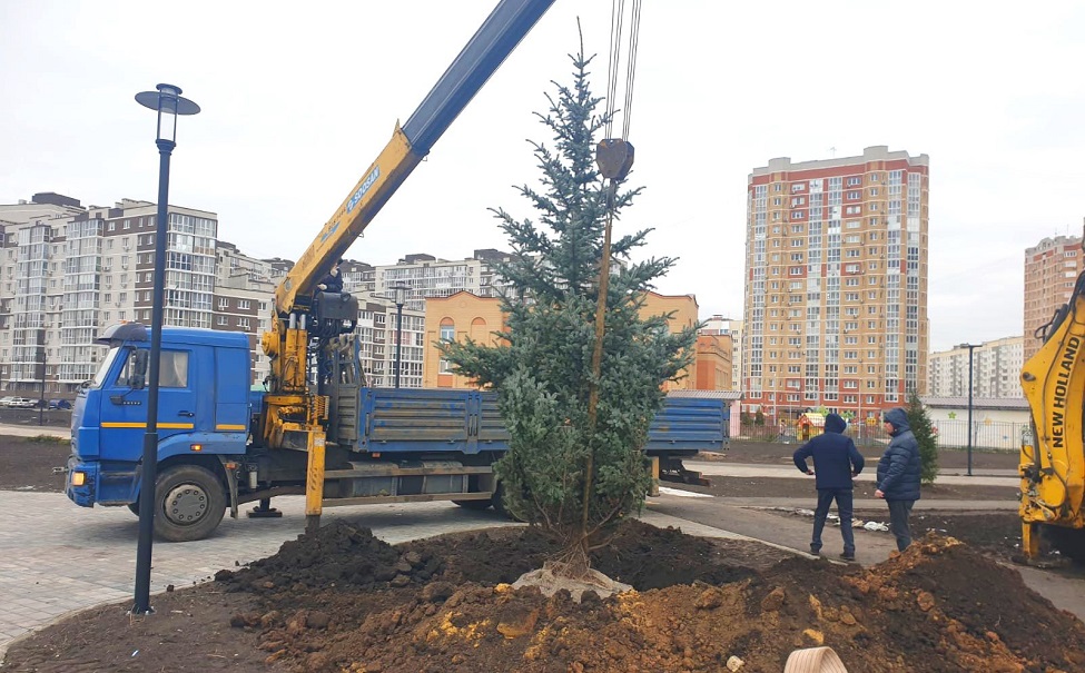 Парк европейский липецк