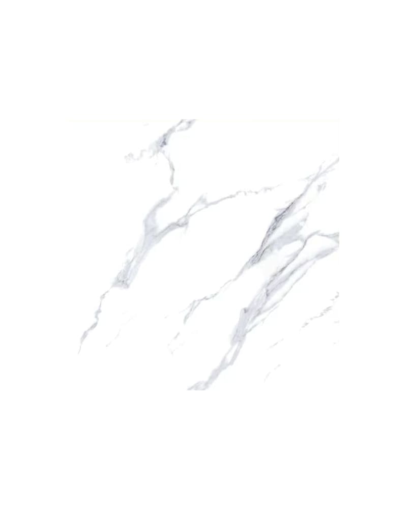 https://res.cloudinary.com/duavdpgm9/image/upload/v1732600661/y54cddjode5ypxz8elrg.jpg