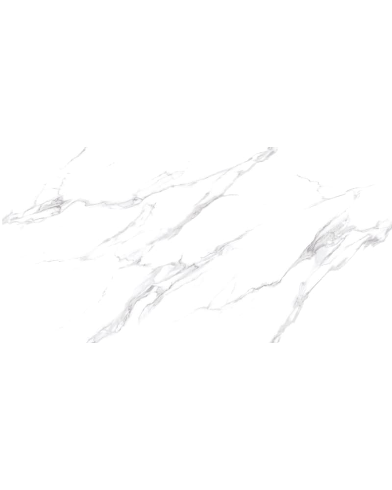 https://res.cloudinary.com/duavdpgm9/image/upload/v1733889189/swiwyq6ju1hwz9e31szi.jpg