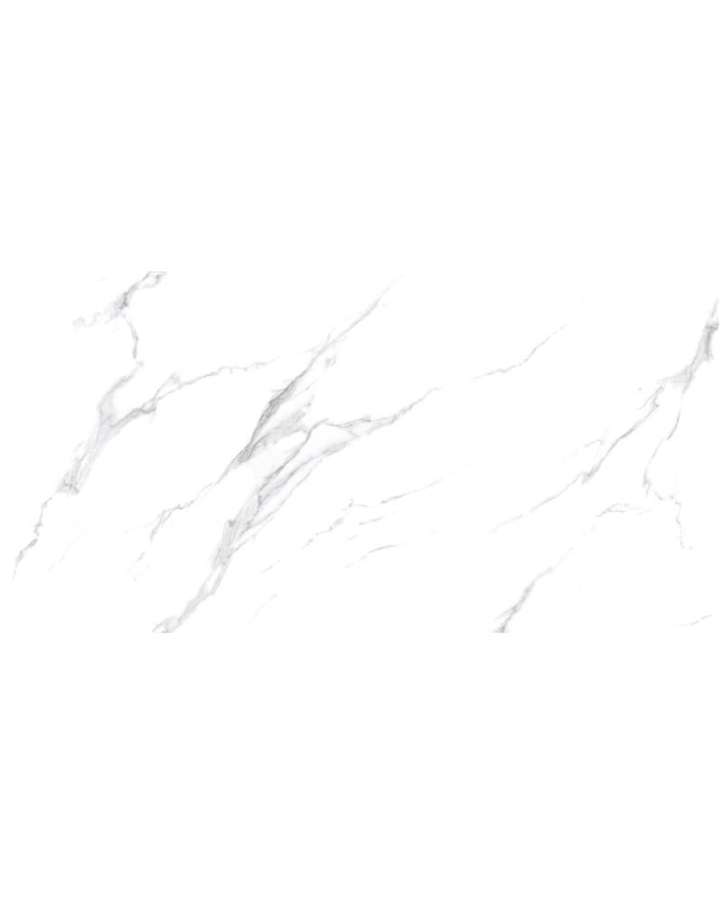 https://res.cloudinary.com/duavdpgm9/image/upload/v1733889208/wf04cm4rii8gfwmmu0ii.jpg