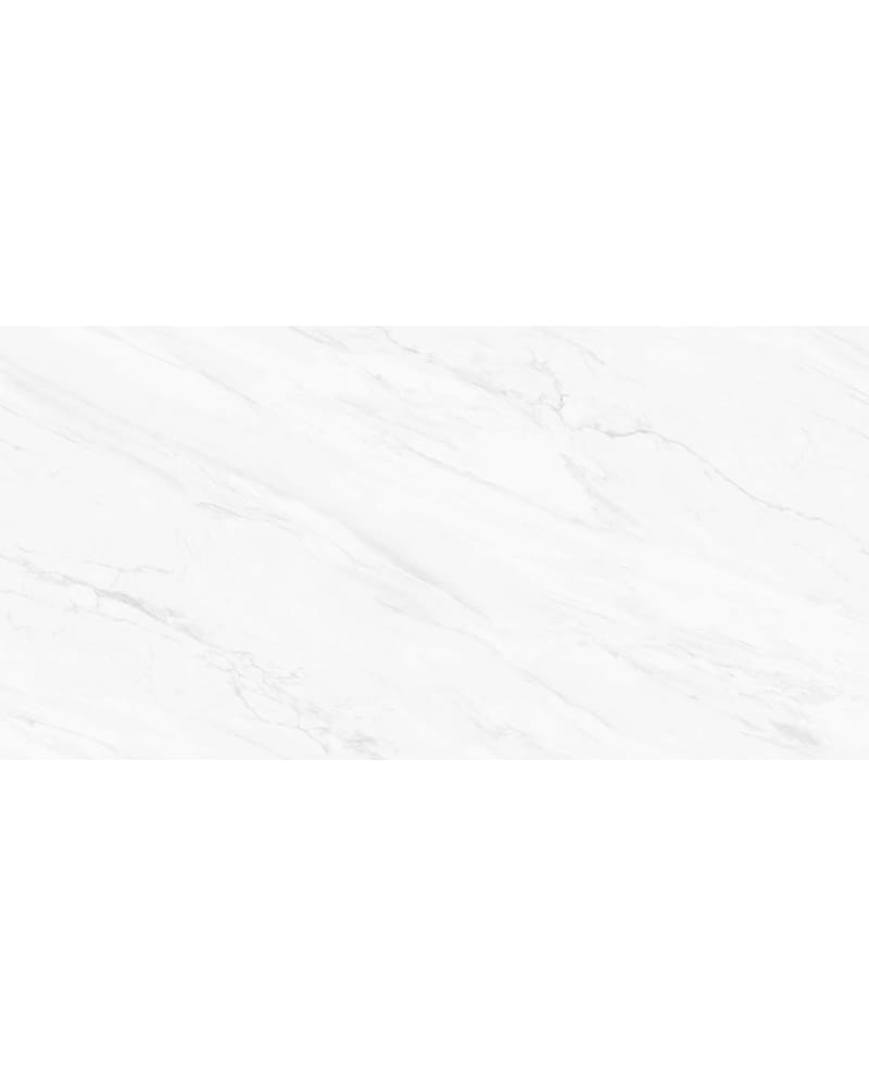 https://res.cloudinary.com/duavdpgm9/image/upload/v1733889707/tx3zhw1dplvigznrzwf4.jpg