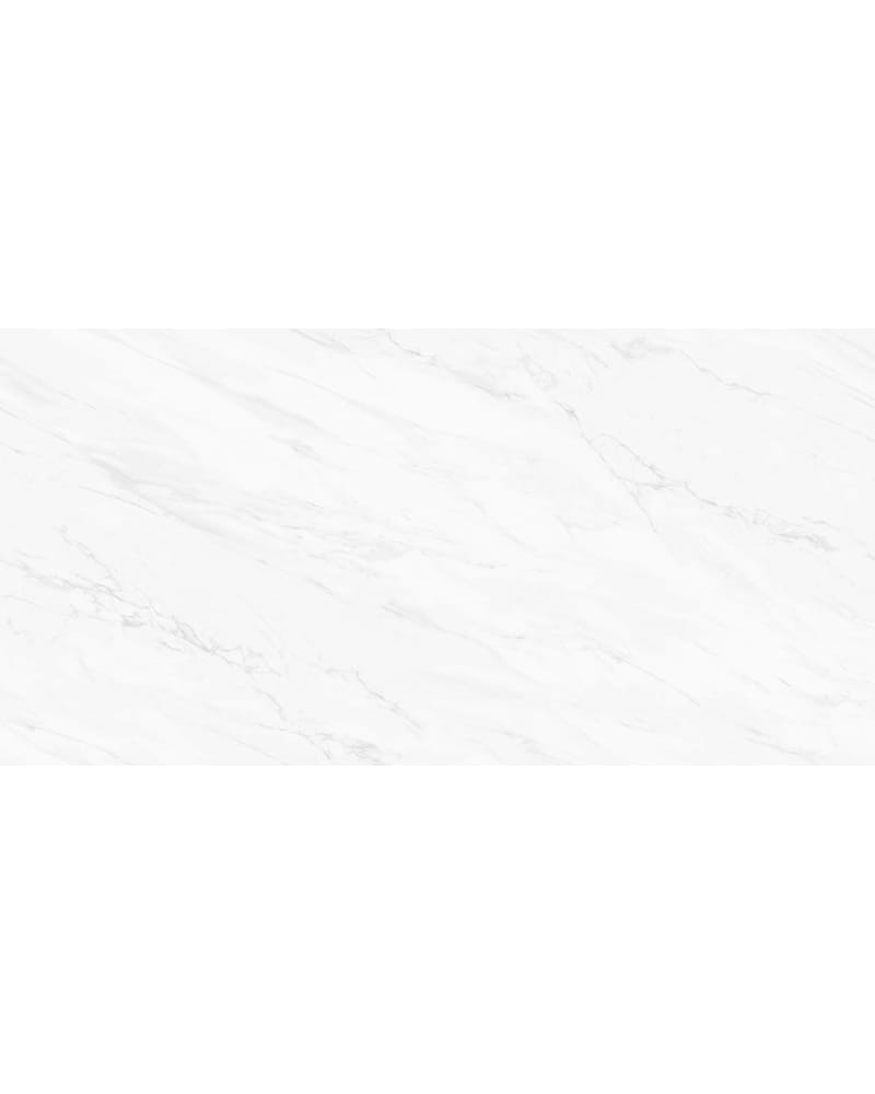 https://res.cloudinary.com/duavdpgm9/image/upload/v1733889714/s0wpxji9ftwyezspsjzx.jpg
