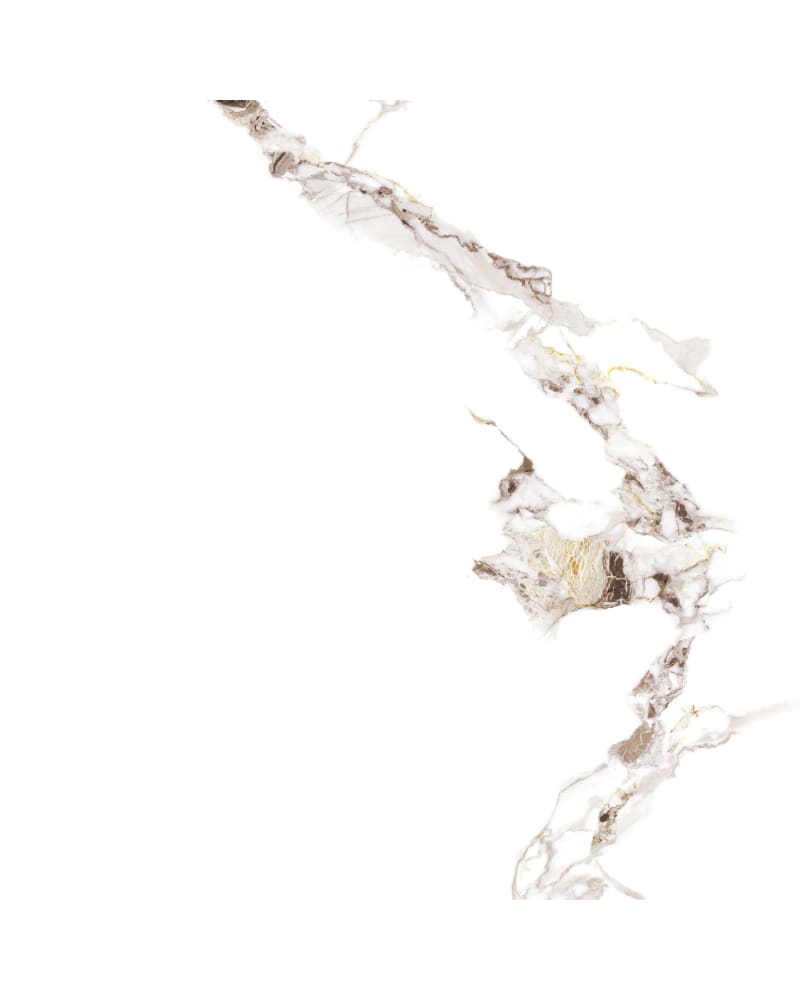 https://res.cloudinary.com/duavdpgm9/image/upload/v1733901406/cmxbll9a2ggddzuov1b1.jpg