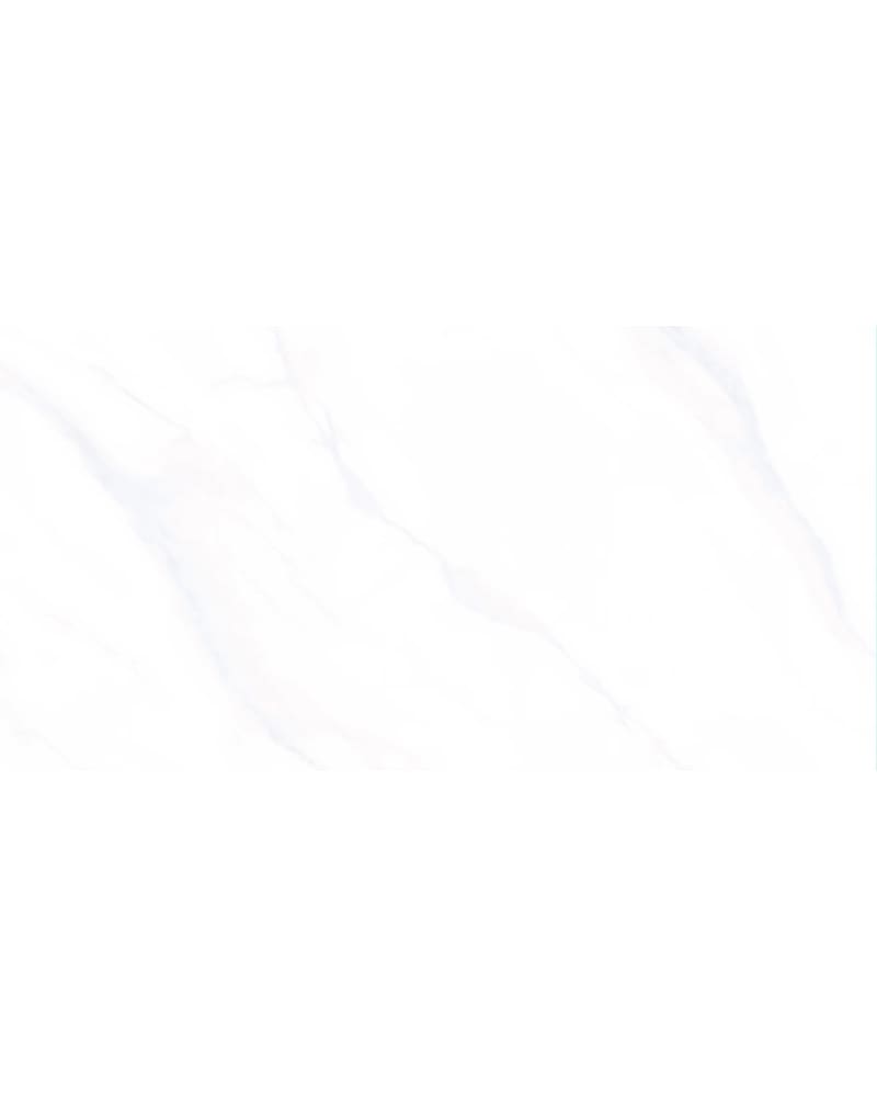 https://res.cloudinary.com/duavdpgm9/image/upload/v1733901519/pyxcamypetvjxqtlugfi.jpg