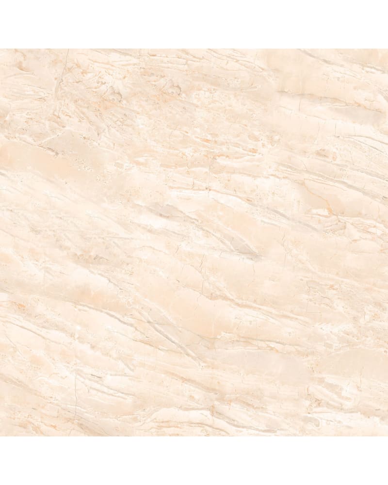 https://res.cloudinary.com/duavdpgm9/image/upload/v1736558405/aiajmscshtl4bhbzjsva.jpg