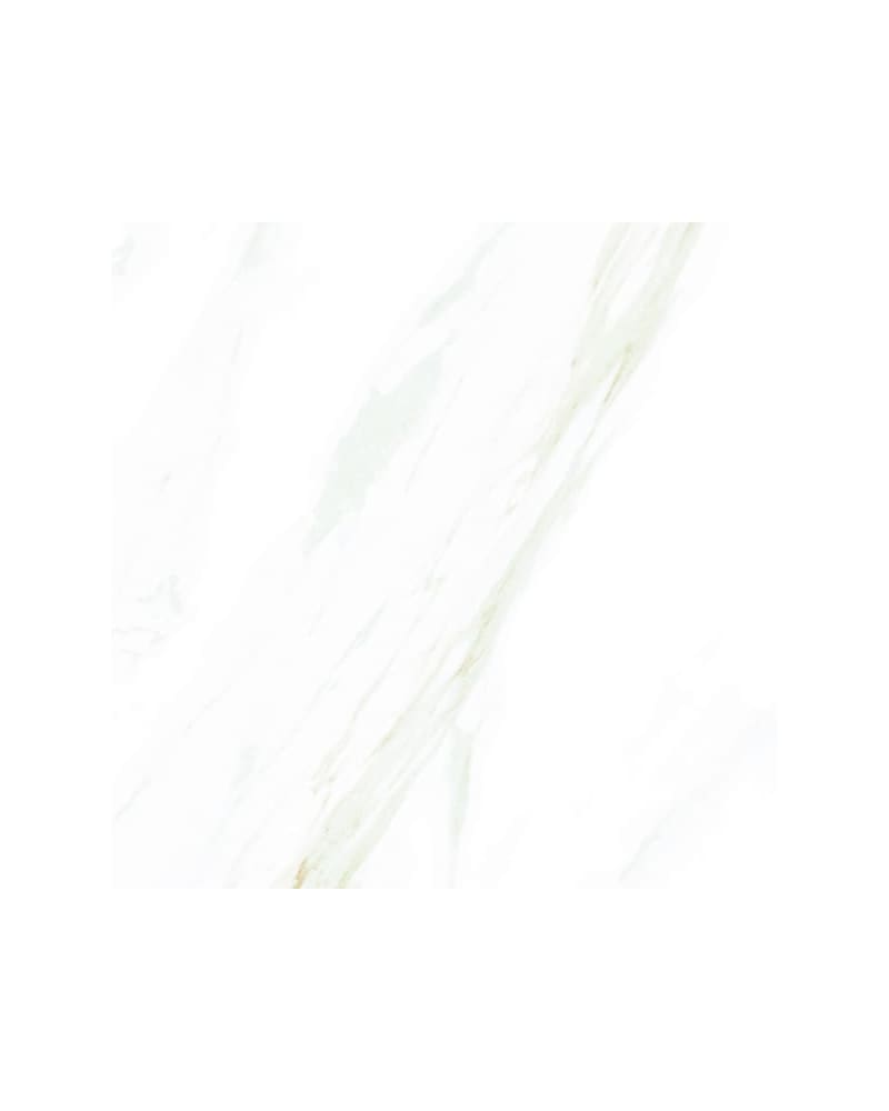 https://res.cloudinary.com/duavdpgm9/image/upload/v1744857416/iegdm7sihp8u7qheqfou.jpg