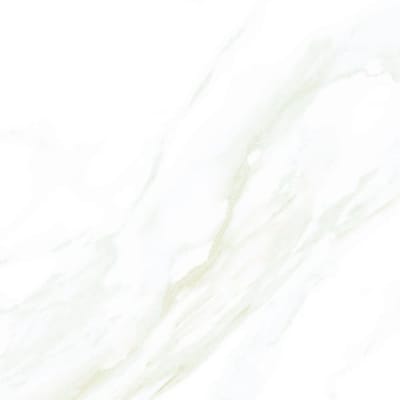 https://res.cloudinary.com/duavdpgm9/image/upload/v1744857419/ltdv3jbaihbt7llnypsz.jpg