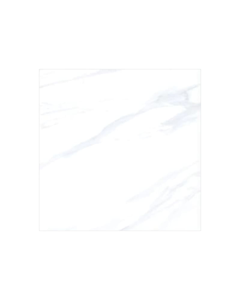 https://res.cloudinary.com/duavdpgm9/image/upload/v1744864824/iyvr8zpprkbqixz9fmft.jpg