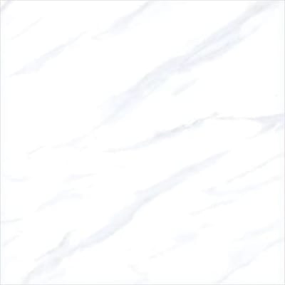 https://res.cloudinary.com/duavdpgm9/image/upload/v1744864826/dmburbzjt5x6nh9ctzj2.jpg