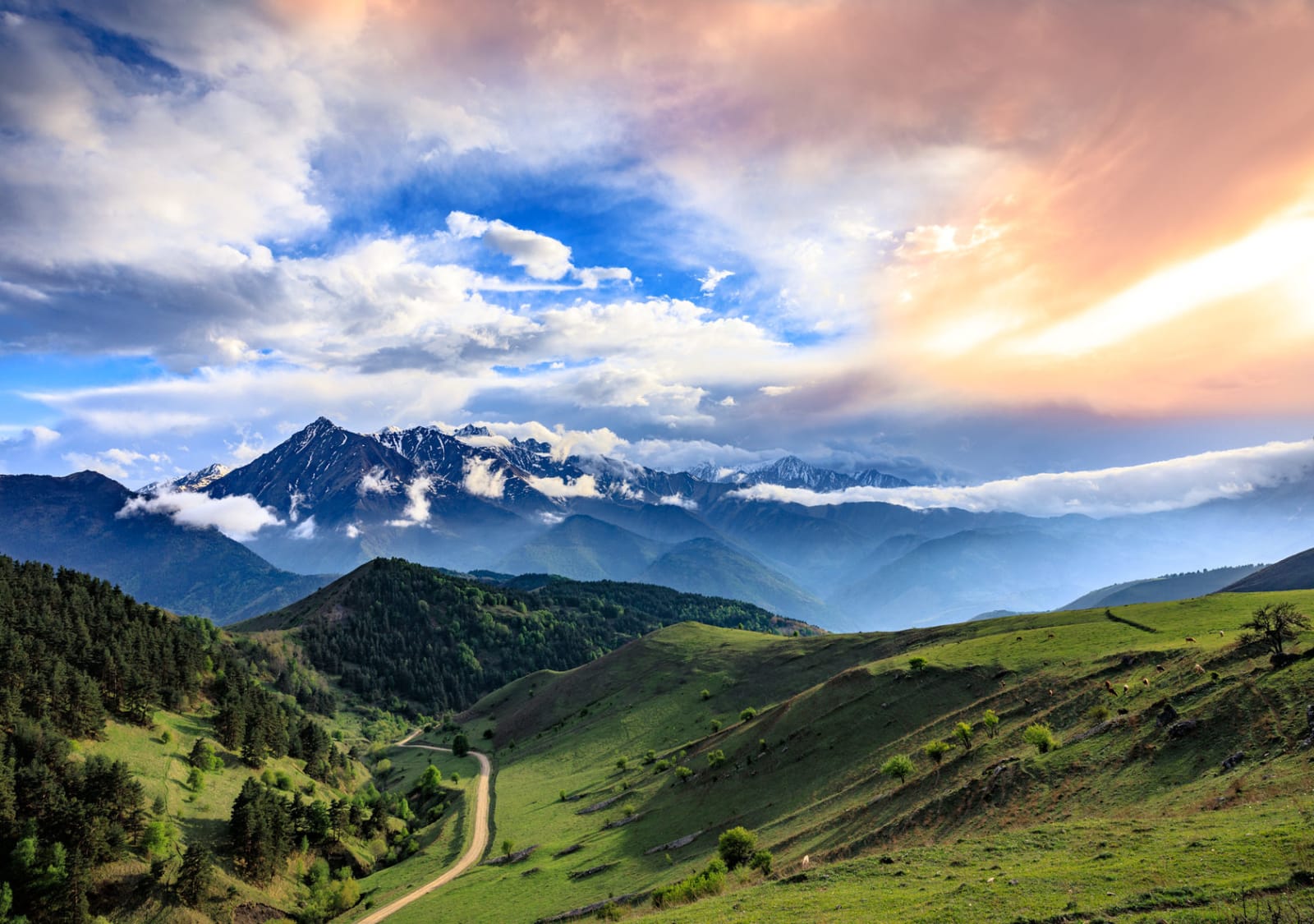 Mountain Light