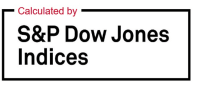 S&P Dow Jones Indices Logo