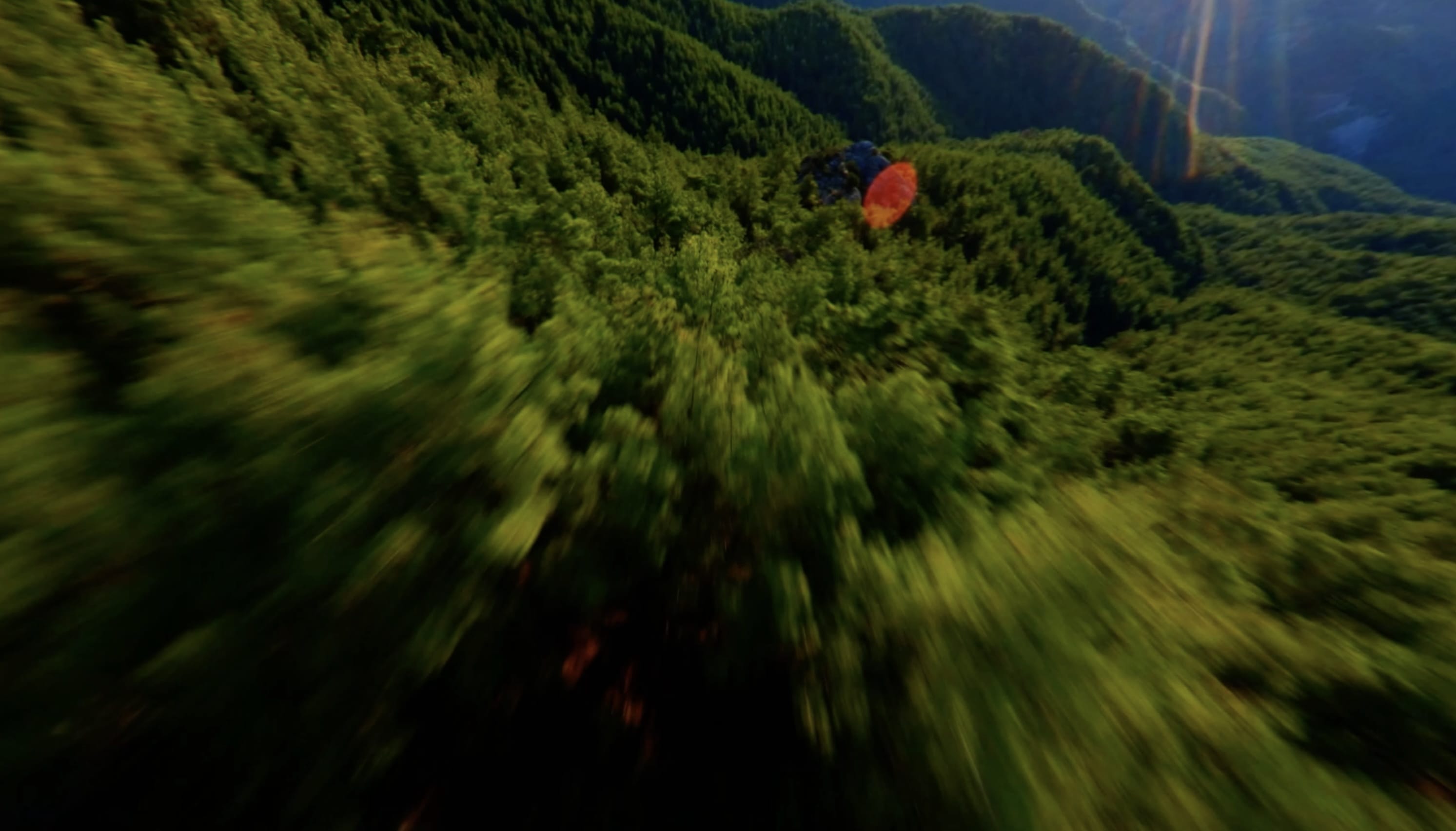 DFM Carbon Credits