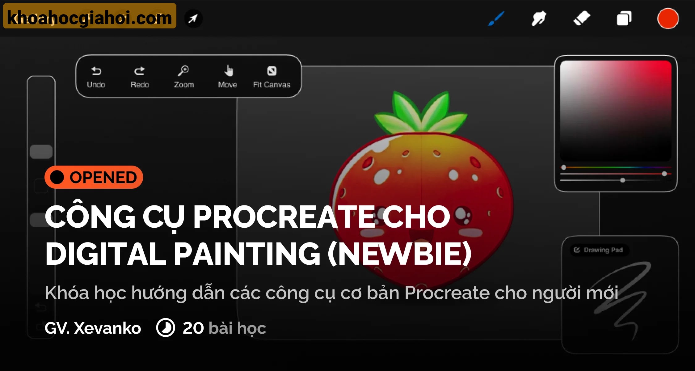 Khóa Học Công Cụ Procreate Cho Người Mới Digiart Academy