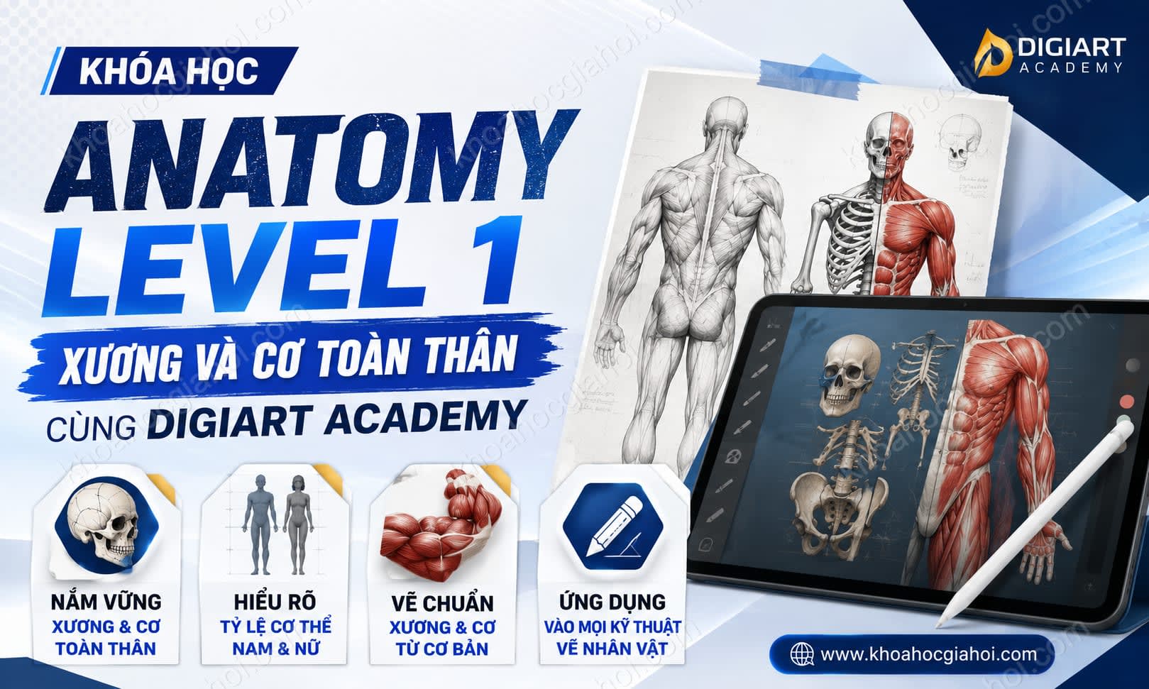 Khóa Học Anatomy Level 1 - Xương Và Cơ Toàn Thân Cùng Digiart Academy