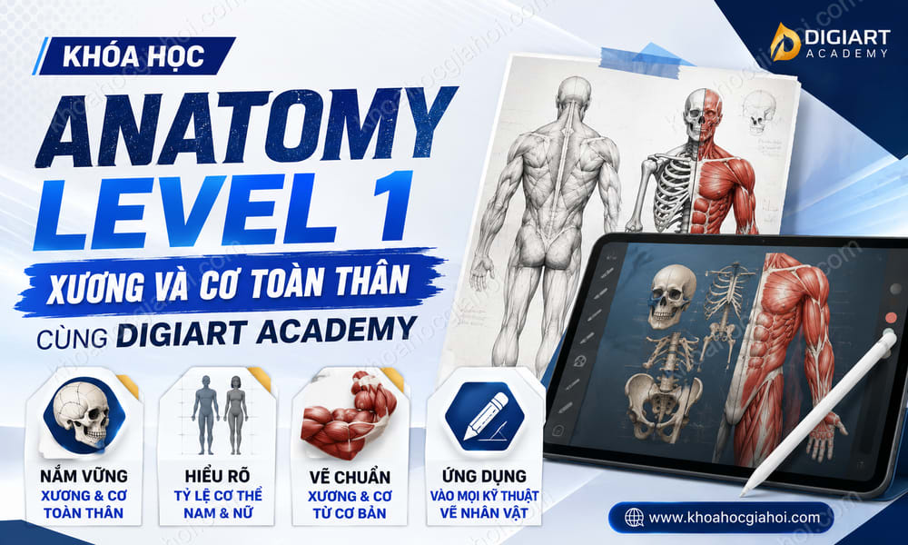 Khóa Học Anatomy Level 1 - Xương Và Cơ Toàn Thân Cùng Digiart Academy