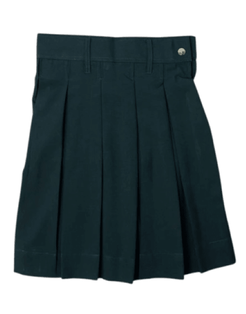 Patna-Infant Jesus School -Girls-Skirt image 2