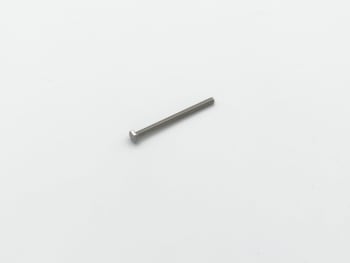 Bottom Screw