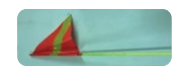 1 PIECE COMPLETE BUGGY WHIP C/W SLEEVE & FLAG