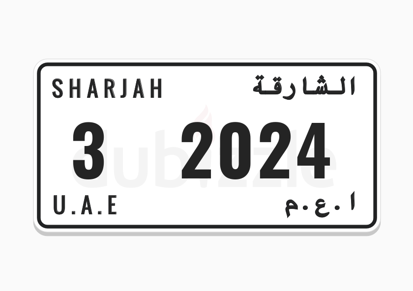 2024 Model/Year Number Plate