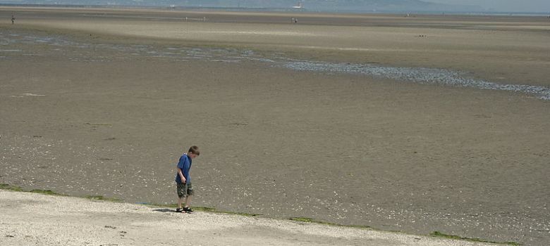 Sandymount Strand image