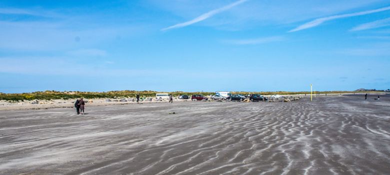 Bull Island image