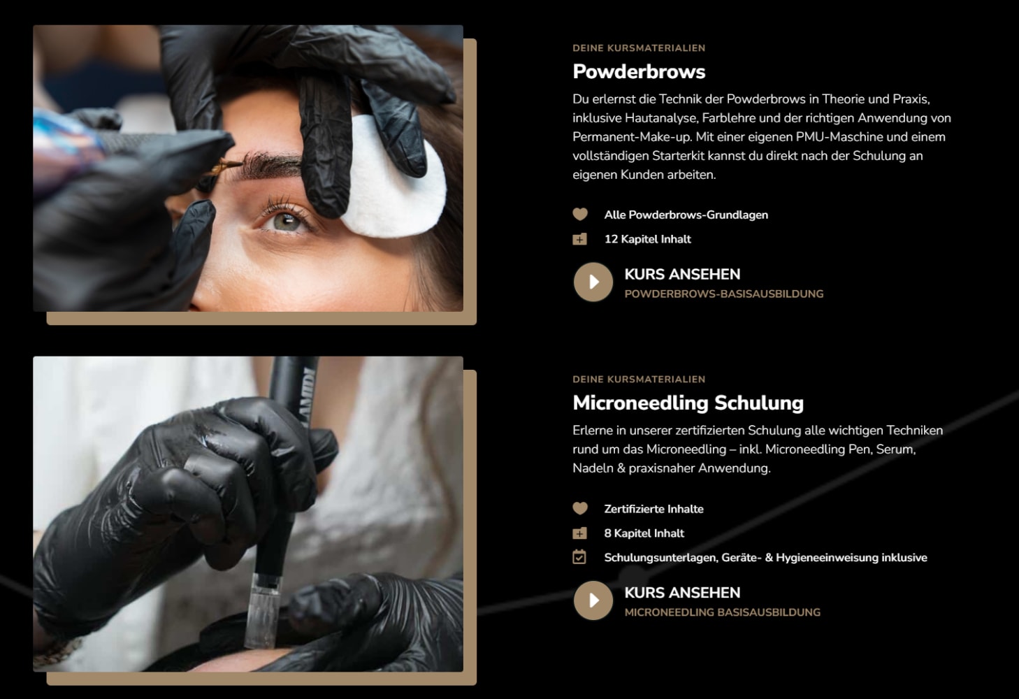The course overview inside the LamidiBeauty platform