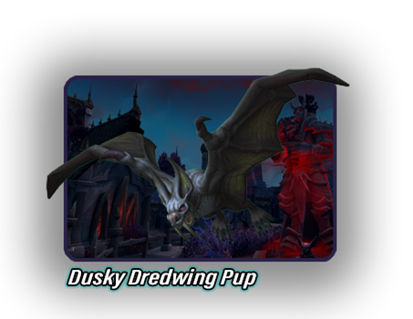pml-images/dredwing-pup