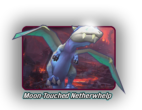 pml-images/moon-touch-whelp