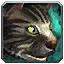 Black Tabby Cat