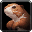 Brown Prairie Dog