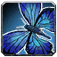 Shore Butterfly