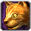 Orange Tabby Cat