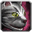 Silver Tabby Cat