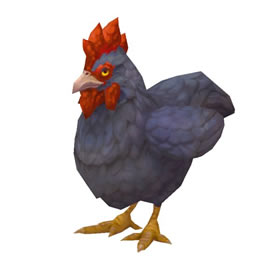 Ancona Chicken